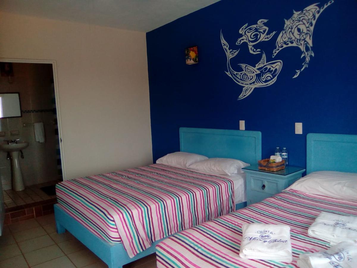 Hotel Quinta Mar Y Selva チャカラ エクステリア 写真