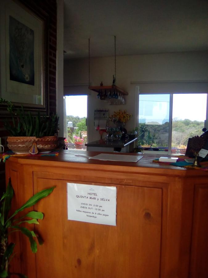 Hotel Quinta Mar Y Selva チャカラ エクステリア 写真