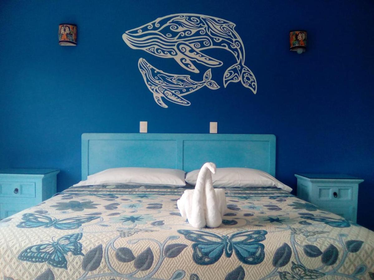 Hotel Quinta Mar Y Selva チャカラ エクステリア 写真